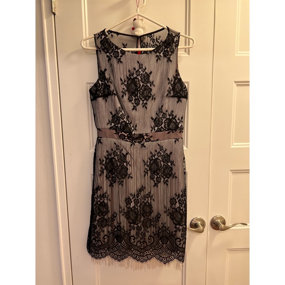 Reiss Lace dress